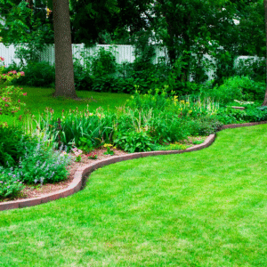 Lady Lake Landscaping Tips for a Lush, Green Lawn All Year