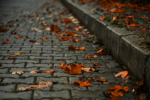 Rustic Hardscaping Ideas for Dunnellon Homes Near the Rainbow River