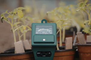 How Smart Irrigation Upgrades Save Fruitland Park Homeowners Thousands Every Year