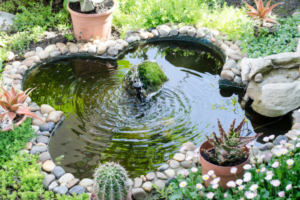 Custom Ponds and Waterfalls