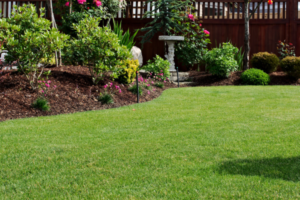 What Every Ocala Homeowner Must Know About Seasonal Lawn Care in Central Florida