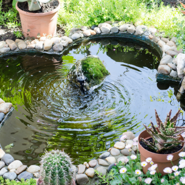 Custom Ponds and Waterfalls