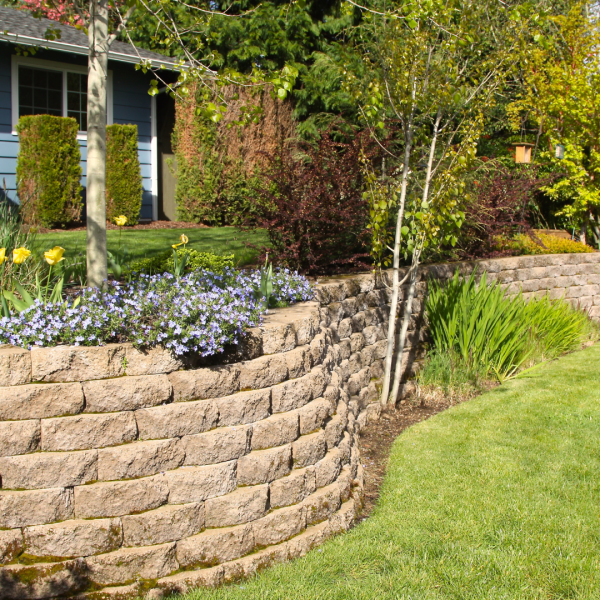Belleview Hardscape Guide: Patios, Retaining Walls, and Outdoor Living Spaces
