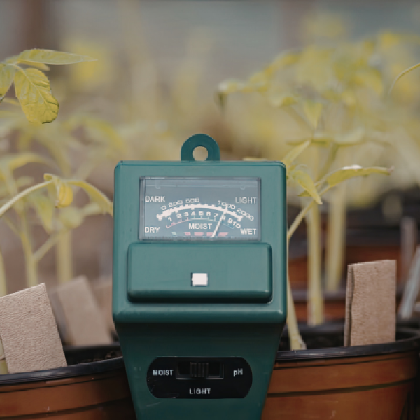 How Smart Irrigation Upgrades Save Fruitland Park Homeowners Thousands Every Year