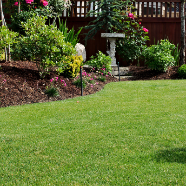 What Every Ocala Homeowner Must Know About Seasonal Lawn Care in Central Florida