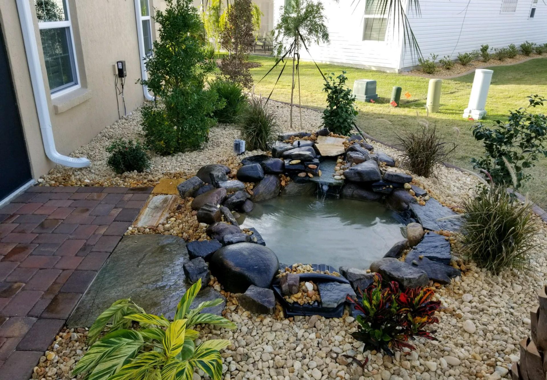 pond2
